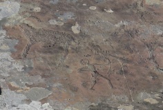 Kalbak-Tash