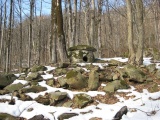 Ashe River Dolmens - PID:89211