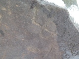 Sikachi-Alyan Petroglyphs