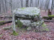 Dolmen Sadovoye 2
