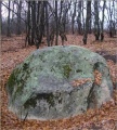 Green Stone on the river Veduga submitted by AlexAssa