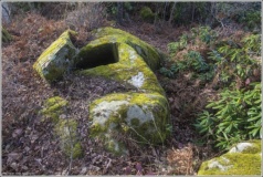 Chuhukt river Semi-solid dolmen 3