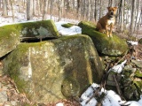 Ashe River Dolmens - PID:89207