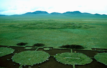 Arzhan 2, view over the kurgan and the surrounding stone circles with sacrificial areas
German Archaeological Institute 