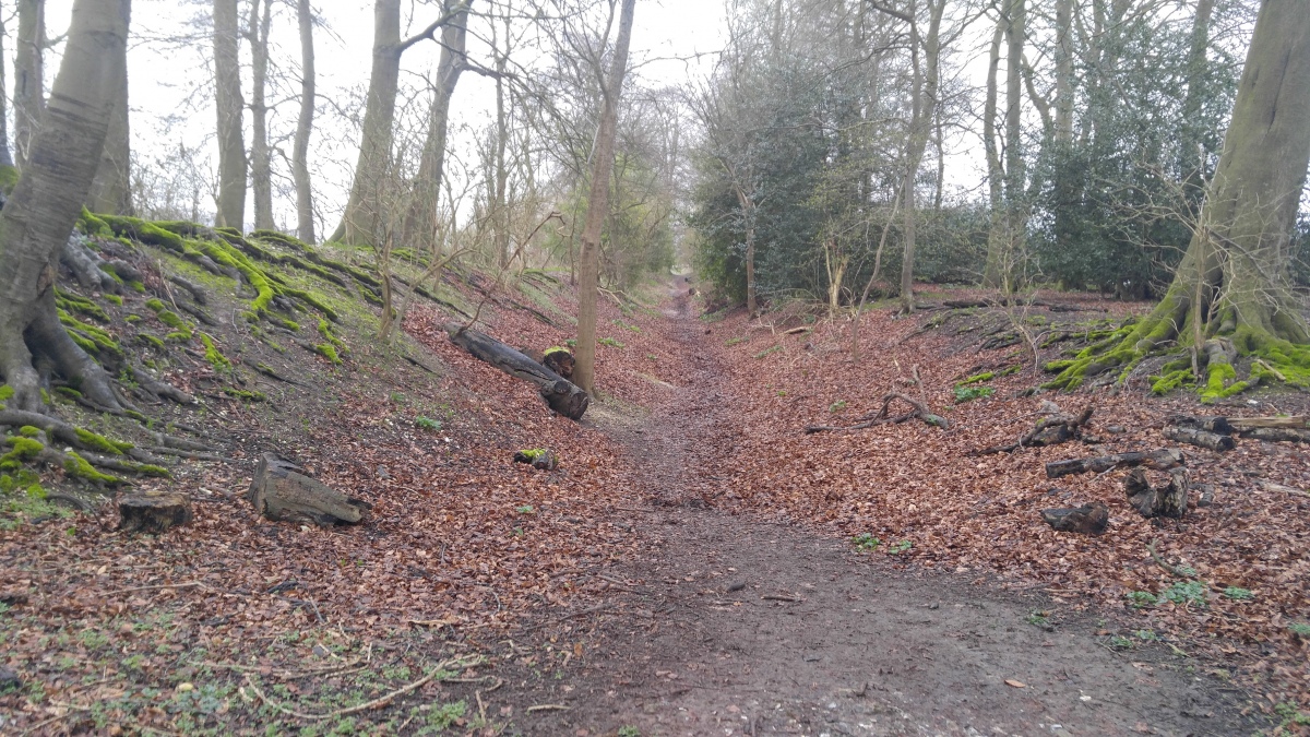 Click for the gallery page to add comments and vote (PID:213502) Grim's Ditch (Ridgeway, Bachelor's Hill)