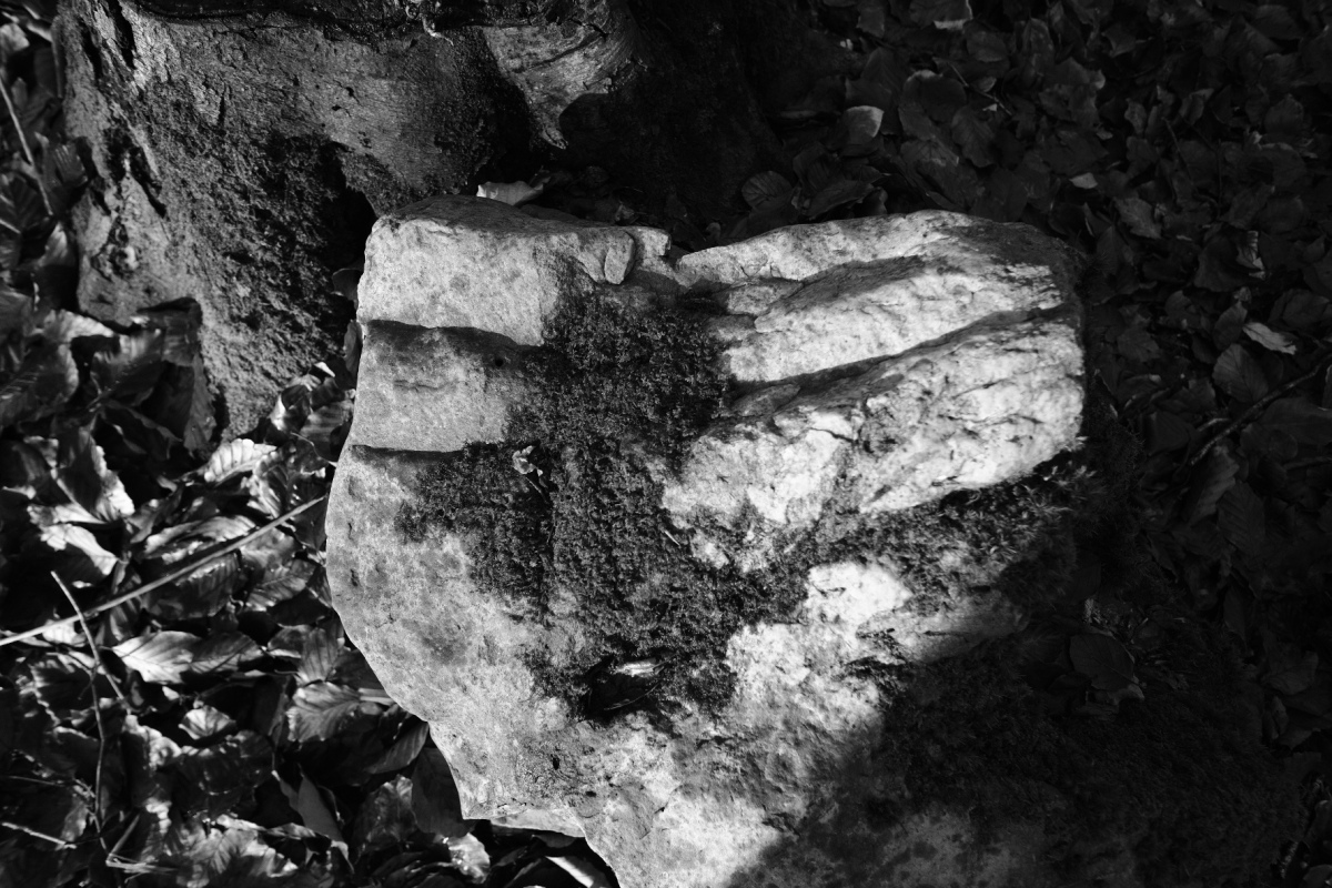 West Woods Polissoir No.1