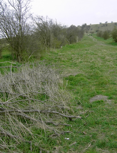 Click for the gallery page to add comments and vote (PID:64794) Dray's Ditches