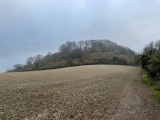 Sharpenhoe Clappers - PID:220578