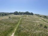 Five Knolls - PID:229183