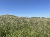 Five Knolls - PID:229182