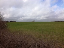 Sharpenhoe Burial Mound