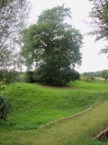 Gannocks Castle