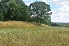 Mowsbury Hill