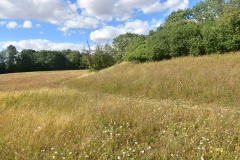 Mowsbury Hill