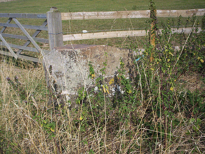 Hangman's Stone - Leckhampstead
