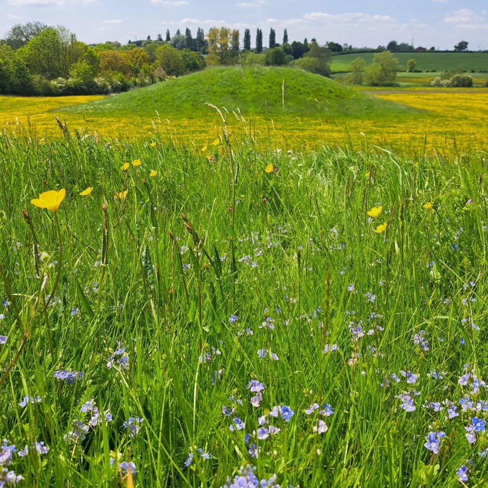 Click for the gallery page to add comments and vote (PID:259752) Thornborough (Bucks)