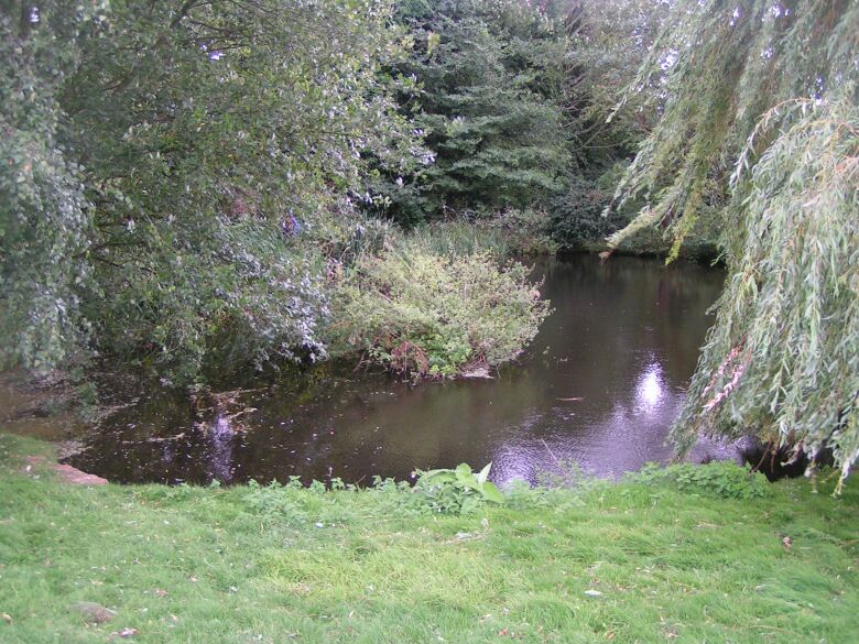 Now part of a formal garden, the pond is surrounded by trees, and contains what appears to be a small island.
