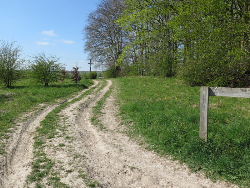 Click for the gallery page to add comments and vote (PID:132031) Lambourn Long Barrow