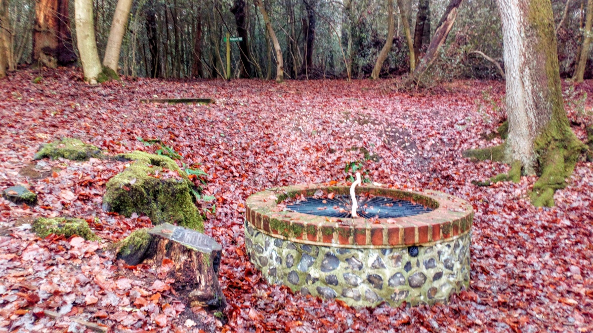 St. Frideswide's Well