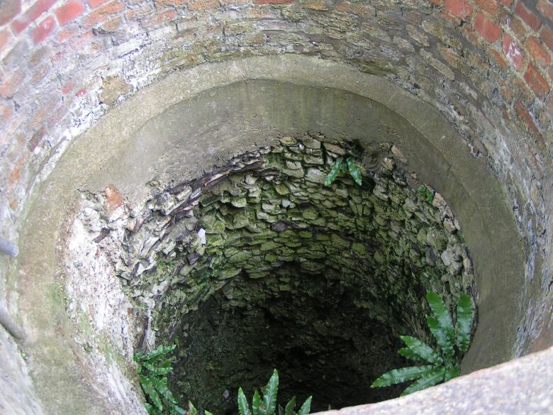 Click for the gallery page to add comments and vote (PID:15889) St. Anne's Well (Caversham)