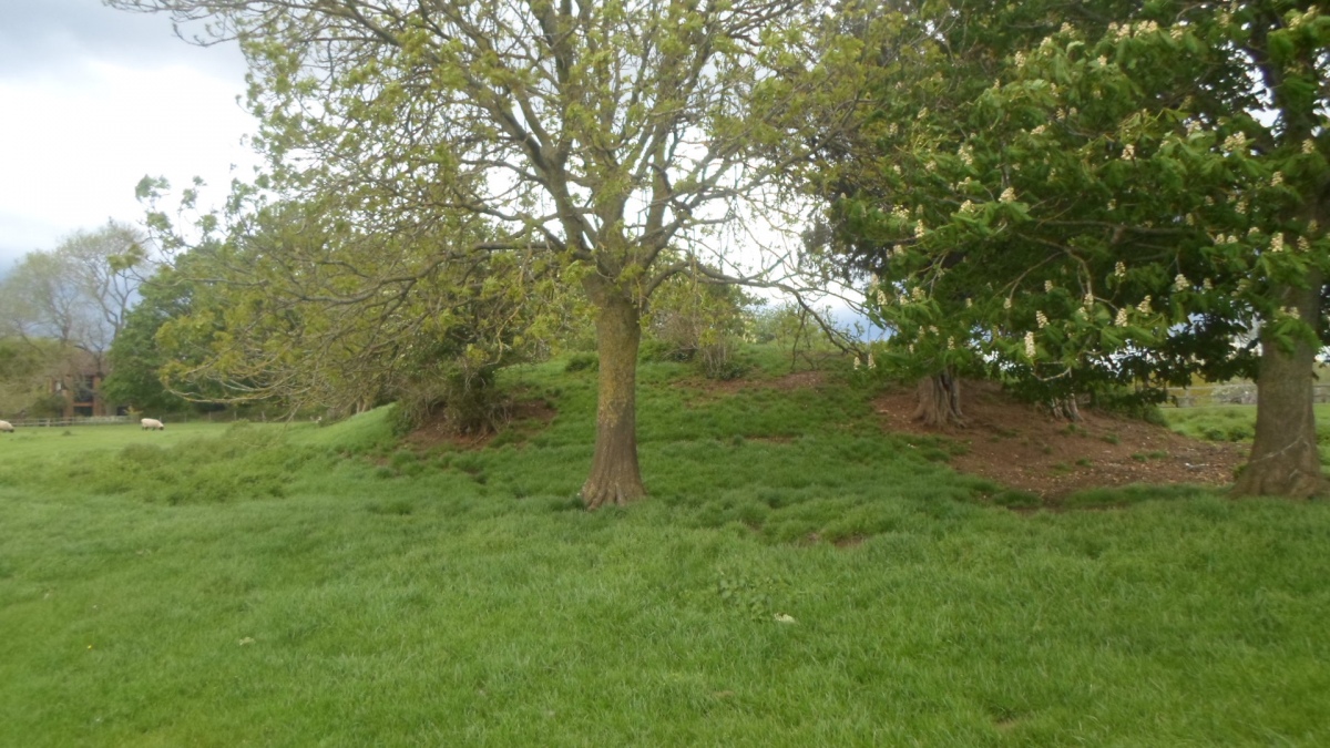 Click for the gallery page to add comments and vote (PID:227666) Whaddon Barrow