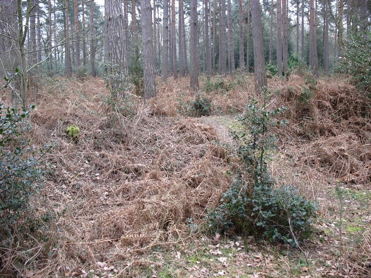Aldermaston Enclosure