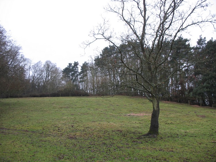 Borough Hill (Boxford)