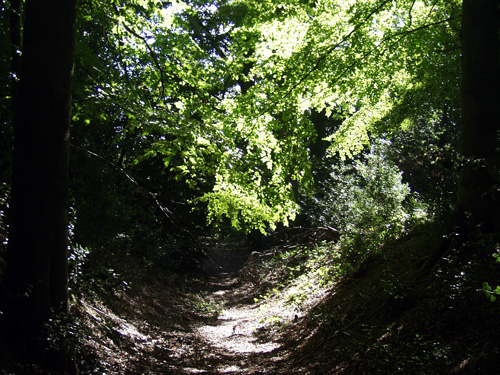 Click for the gallery page to add comments and vote (PID:11299) Cholesbury Camp