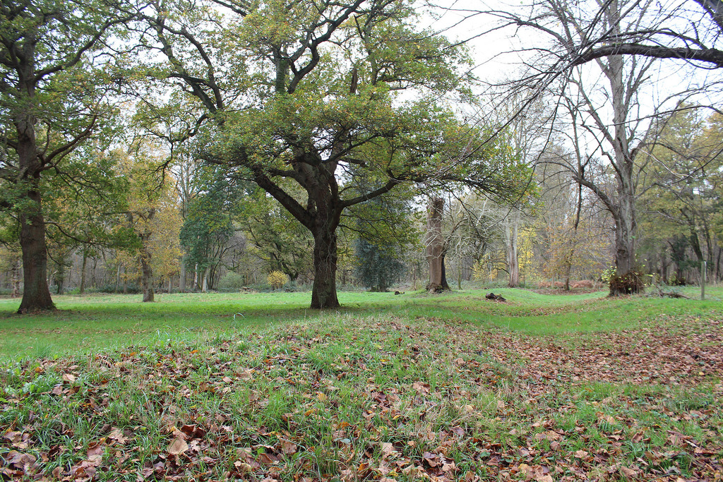 Click for the gallery page to add comments and vote (PID:141030) Robin Hood's Arbour