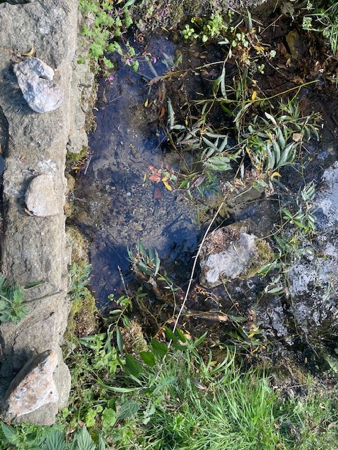 Gorrick’s Well