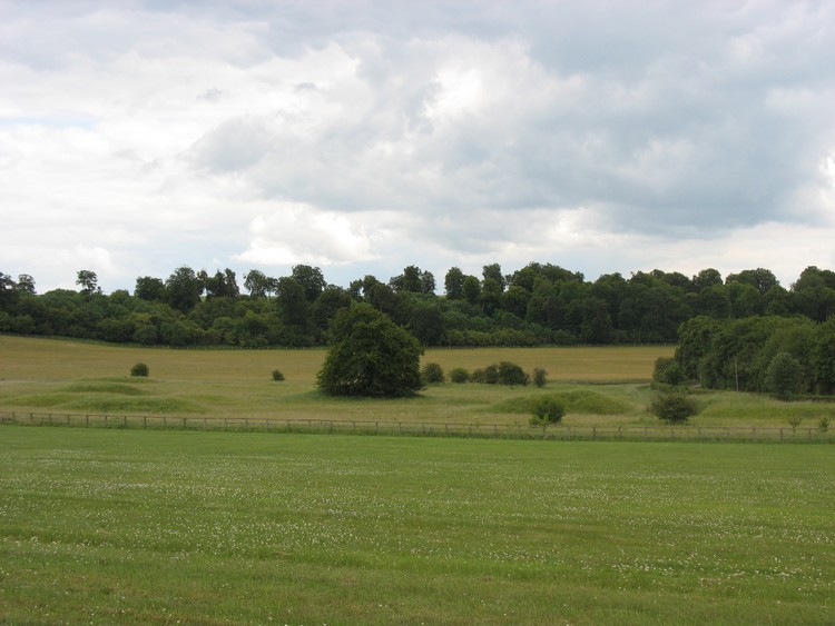 Lambourn Seven Barrows