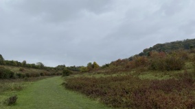Pulpit Hill