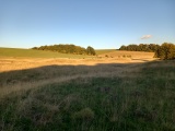 Lambourn Seven Barrows - PID:248473