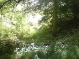 Pulpit Hill - PID:40171