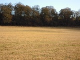 Lambourn Seven Barrows - PID:100274