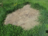 The Quelm Stone - PID:89031