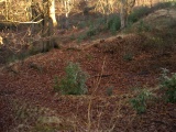Caesar's Camp (Berkshire) - PID:44324