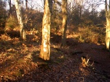 Caesar's Camp (Berkshire) - PID:44325
