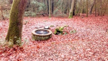 St. Frideswide's Well - PID:221264