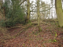 Borough Hill (Boxford)