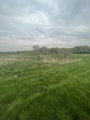 Lambourn Seven Barrows - PID:257382