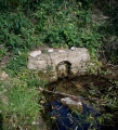 Gorrick’s Well - PID:274489