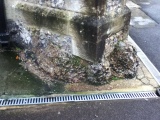 St Mary's Church (Chesham) - PID:141654