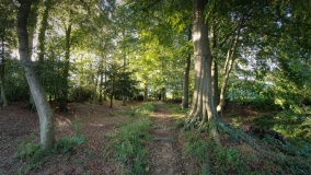 Cholesbury Camp