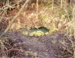 Physic Well (Cumnor) - PID:23108