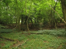 Oareborough Hill