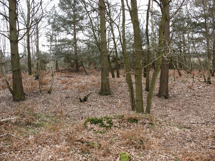 Ufton Nervet Bell Barrow
