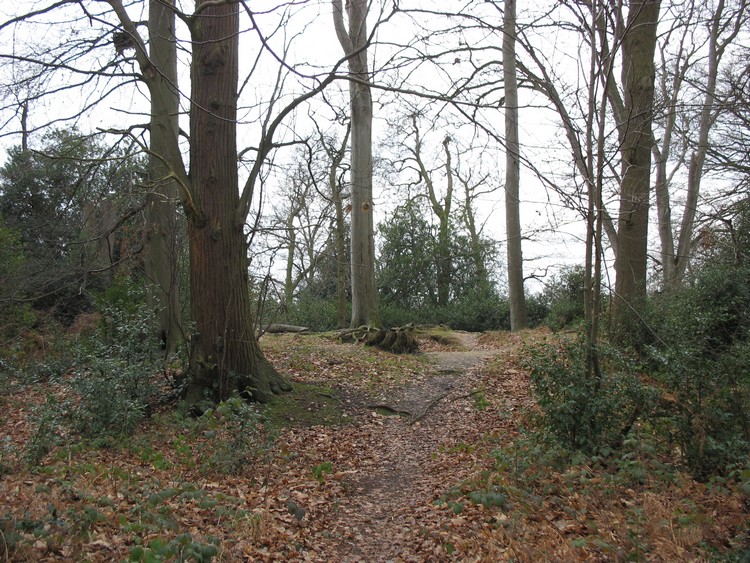 Bill Hill (Berkshire)