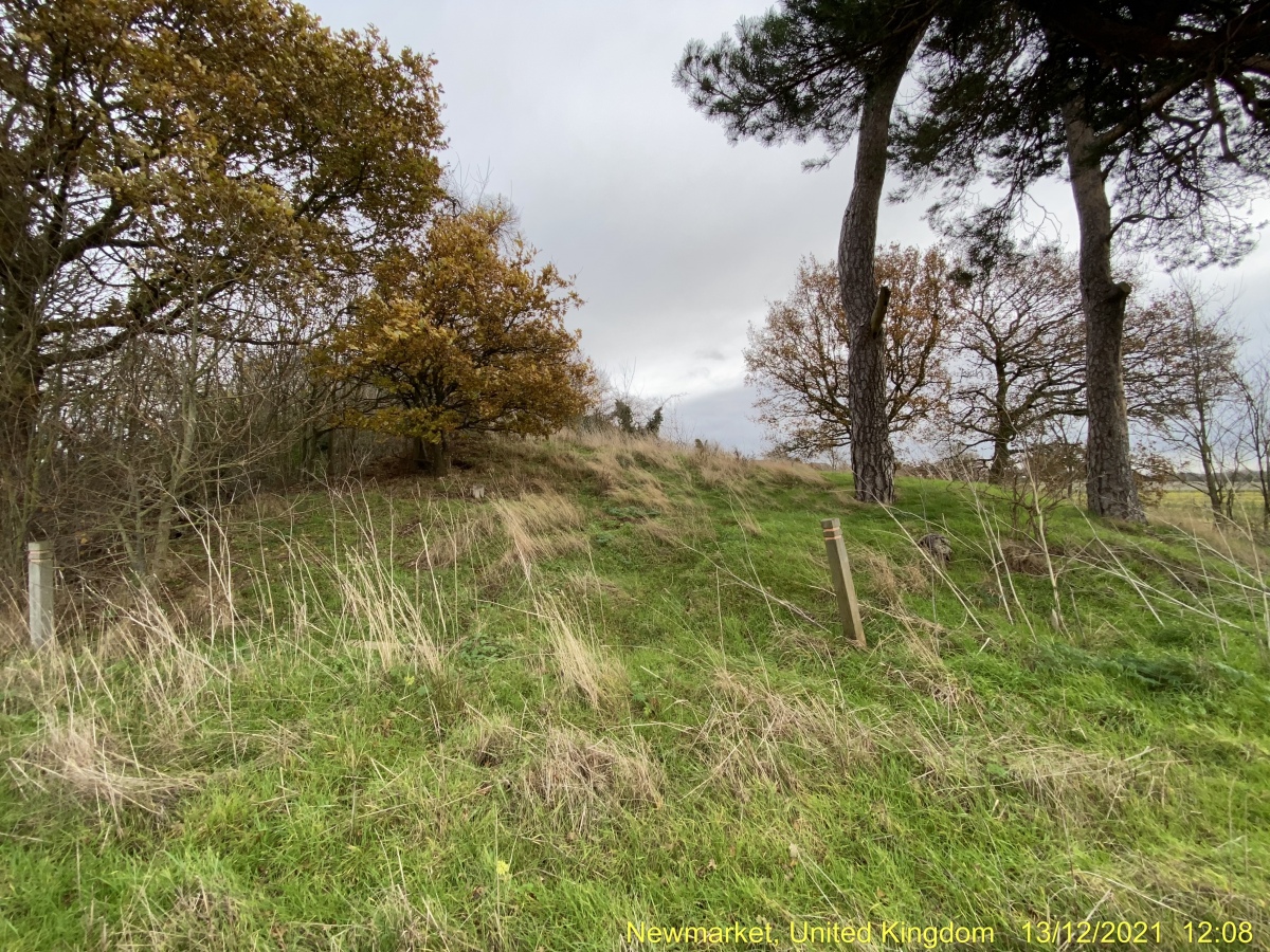 Howe Hill Bowl Barrow Round Barrow(s) : The Megalithic Portal and ...