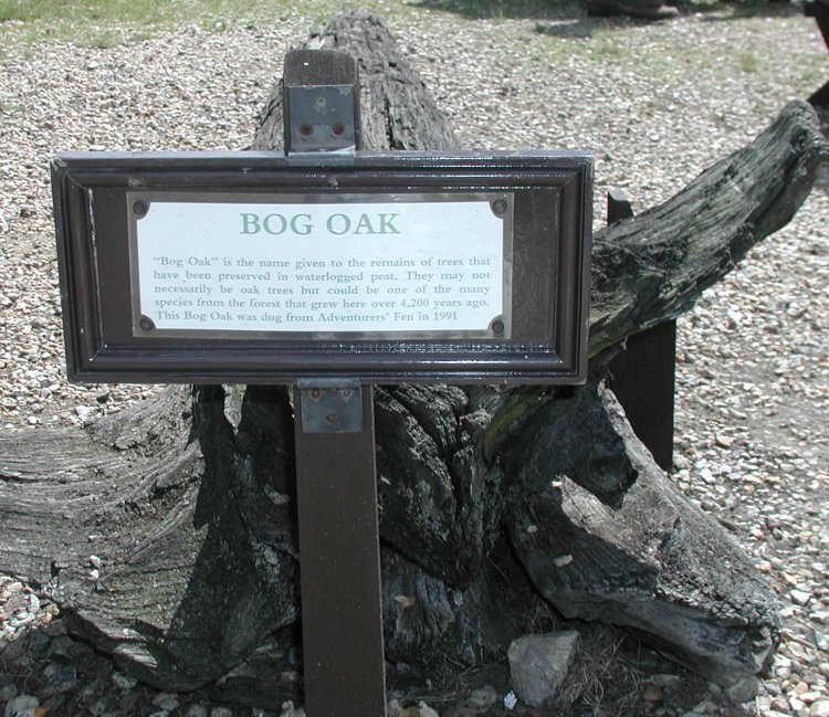 Wicken Fen